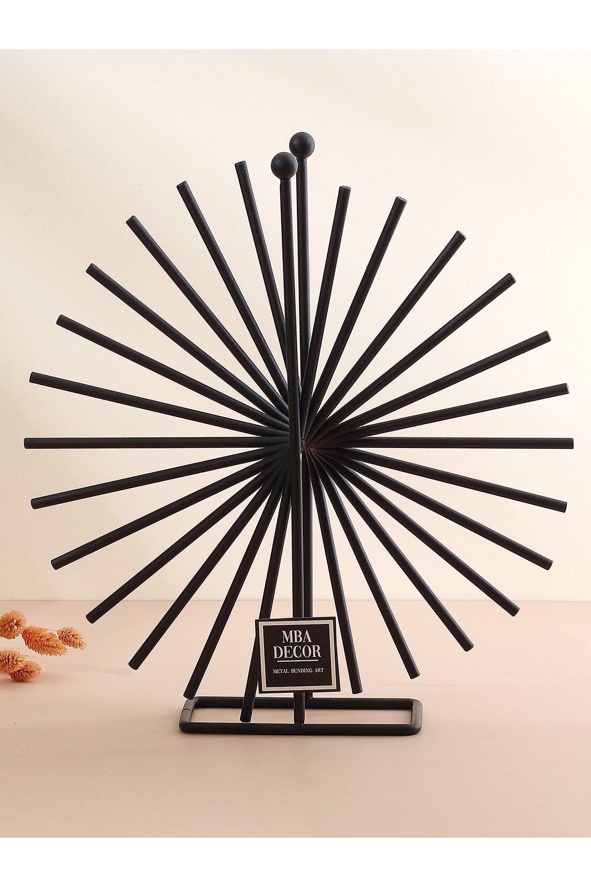 Xanthos Siyah Modern Ev Dekorasyonu Paslanmaz Dolu Demir Dekoratif Obje Ofis Tasarımı 30 Cm
